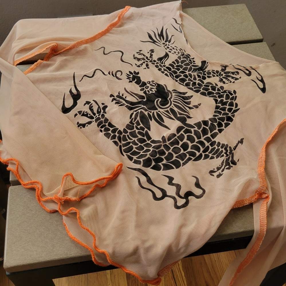 Edgy dragon print mesh top. (Closet clean up)